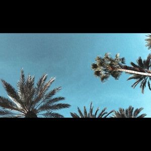 Meet your Posher, Isabella